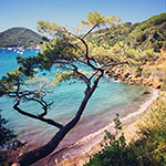 spiaggia di viticcio agnese_nardin on instagram